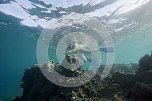 Woman is snorceling in tropical sea photo