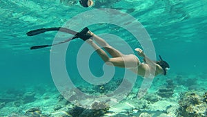 Woman, snorkel and swimming in coral reef in beach, nature and fish by underwater for tropical ecology. Person, sea and