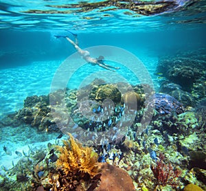 A woman snorkeling in the beautiful coral reef with lots of fish