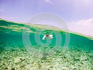 woman snorkeling in clear tropical sea