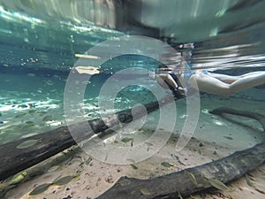 Woman snorkeling in crystal clear water of rainforest spring, watching tropical fishes, side view, reflection, front view, Bom