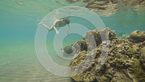 Woman snorkeling in goggles and watching exotic fish swimming over coral reef in sea. Girl snorkeling in transparent