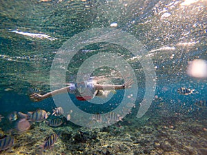 Woman snorkeling in The Red Sea