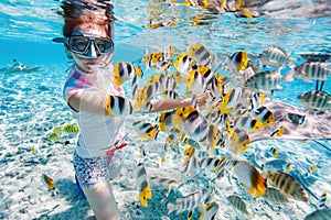 Woman snorkeling with tropical fish