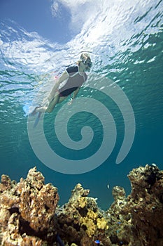 Woman snorkeling in tropical water