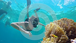 Woman snorkeling undewater, exploring nemo clown fish in the anemone.
