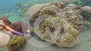 Woman snorkeling and watching tropical fish swimming near coral reef. Underwater view exotic fish in sea. Snorkling and