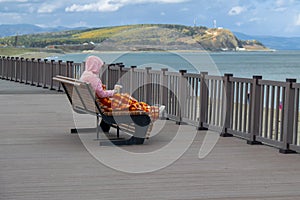 Woman, snuggled in sun lounger covered by plaid blanket. Cold autumn day on the beach