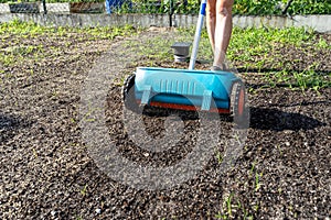 A woman sows grass with a wheel seed drill, visible grains of grass and black earth.