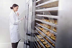 Woman Specialist in Food Quality and Health Control Checking Apples