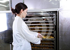 Woman Specialist in Food Quality and Health Control Checking Apples