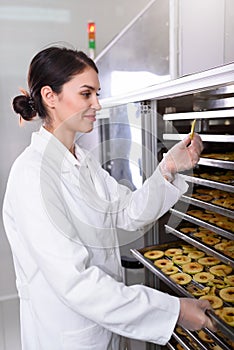 Woman Specialist in Food Quality and Health Control Checking Apples