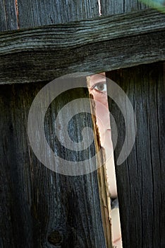 A woman spies through the crack of a fence neighbors