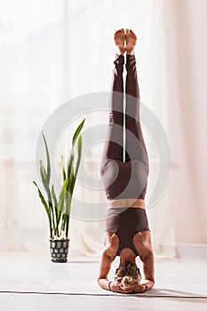 A woman in sportswear practicing yoga, performs an inverted asana in a room near the window, shirshasana pose