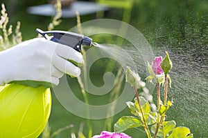 Woman spraying flowers in the garden