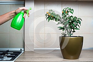 Woman spraying flowers in the kitchen