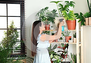 Woman spraying indoor plants near wall