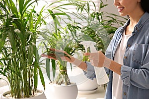 Woman spraying leaves of house plants indoors, closeup