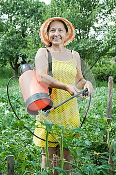 Woman spraying plant in field