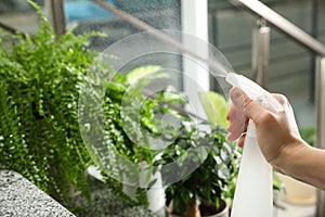 Woman spraying plants on stairs. Home decoration
