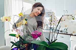 Woman spraying water on orchids on kitchen. Housewife taking care of home plants and flowers