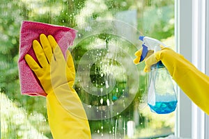 Woman spraying and wiping glass photo