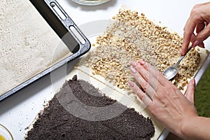 A woman sprinkles a puff pastry with walnuts. For making puff pastry curls with poppy and walnut filling. Nearby on the table are