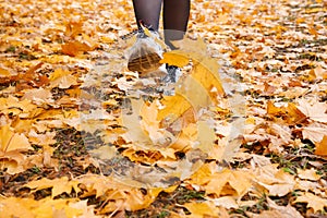 Woman standing on alley of city park. legs closeup