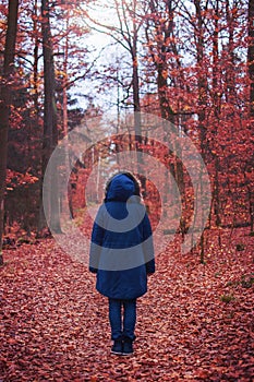 Woman standing backwards in fall forest outdoor