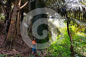 Woman standing beside a giant palm tree leaf