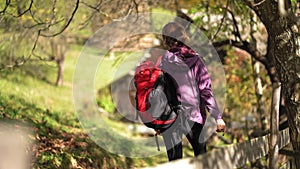 Woman standing next to a tree. walk on a wonderful day in the autumn mountains of the Carpathians pacification of the