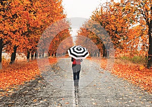 Woman standing with an umbrella on the road in autumn