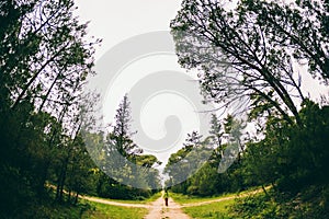 A woman stands at the crossroads of two forest roads