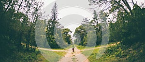 A woman stands at the crossroads of two forest roads photo