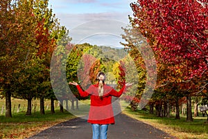 Woman stands among the rows of deciduous trees in Autumn