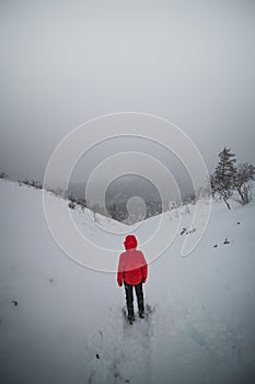 Woman stands on top of a hill looking down on a lake during a snowstorm in pallas yllÃ¤stunturi national park, lapland, Finland.