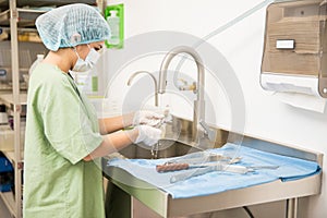 Woman sterilizing medical instruments photo