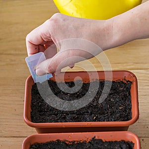 Woman sticks a descriptive label in the pot