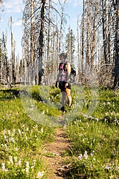 Woman Stops to Look Around on the pacific crest trail
