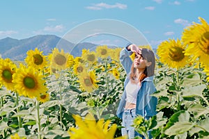 A woman in a straw hat is standing in a large field of sunflowers. stands in flowering field. Summer time, lifestyle, travel and