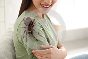 Woman with striped knee tarantula at home. Exotic pet
