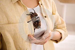 Woman with striped knee tarantula at home. Exotic pet