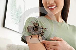 Woman with striped knee tarantula at home. Exotic pet