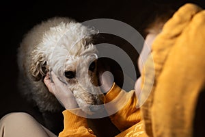 A woman stroking a dog - a large royal poodle in the dark. Pet, human-dog interaction