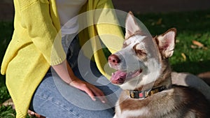 Woman stroking the dog and pet enjoying the moment