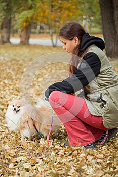 Woman  stroking a dog of the Spitz breed. Walk in the park in autumn in the yellow foliage.