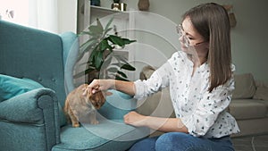 Woman stroking ginger cat lying on armchair at home