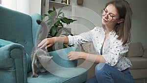 Woman stroking gray cat lying on armchair at home