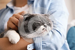 Woman stroking her cat at home,