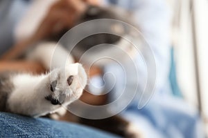 Woman stroking her cat at home